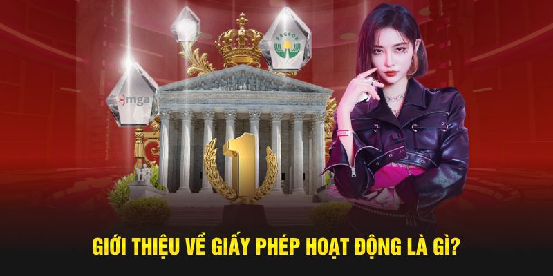 Giới thiệu về giấy phép hoạt động là gì?